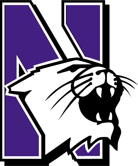 Northwestern Wildcats 1981-Pres Primary Logo DIY iron on transfer (heat transfer)